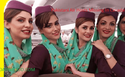 Pakistani Air Hosts Latest Images